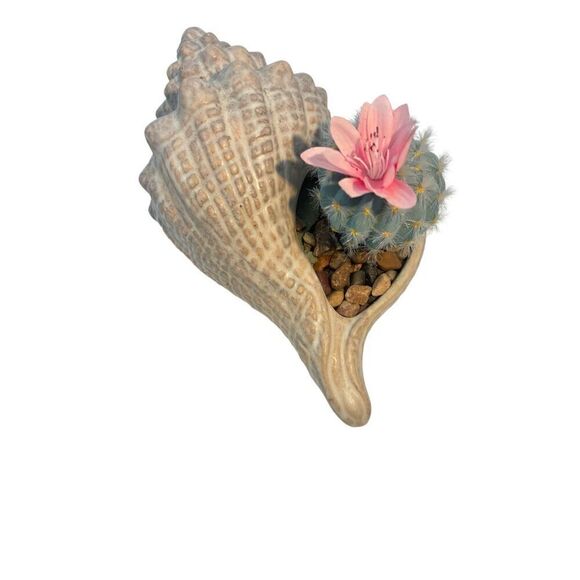 Handmade seashell letter I with a shell planter - Picture 4 of 13